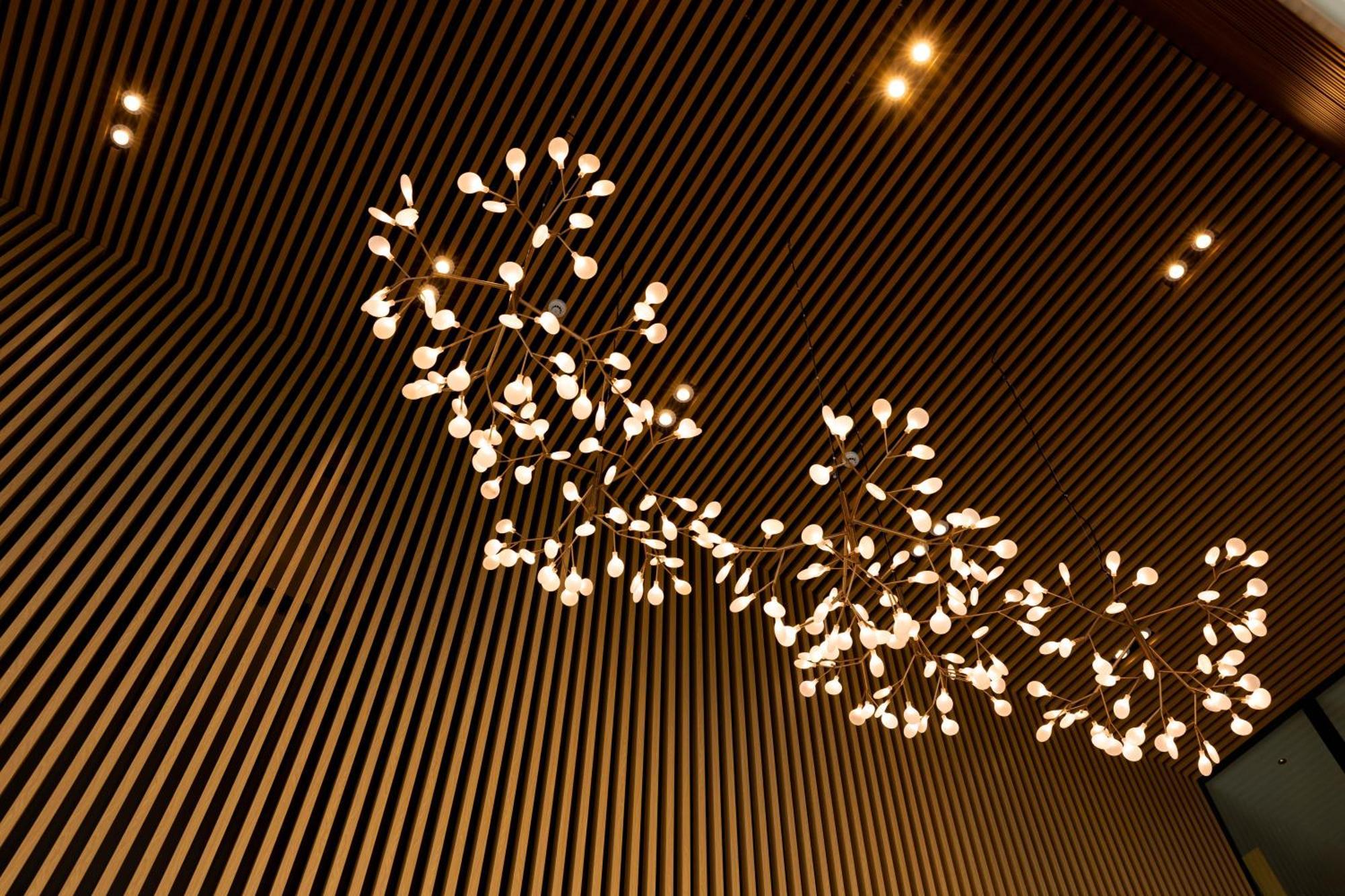 Maxim Hotel - Auckland Exteriér fotografie